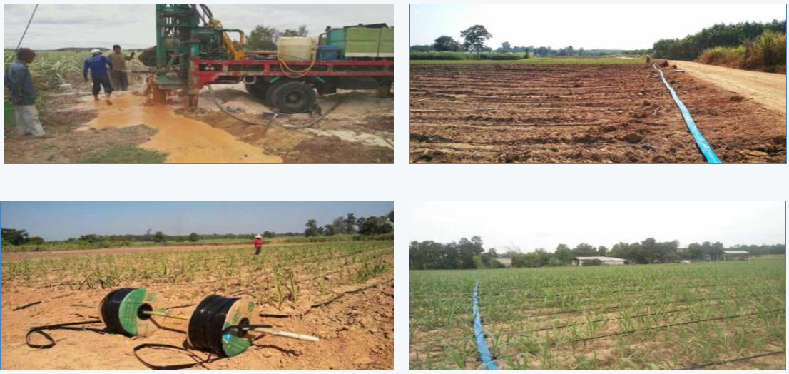 Sugarcane planting drip irrigation project in Thailand