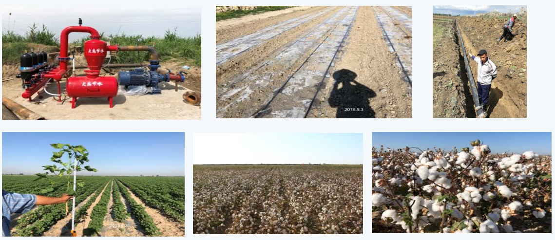Water and fertilizer integrated drip irrigation sugarcane planting project in Uzbekistan