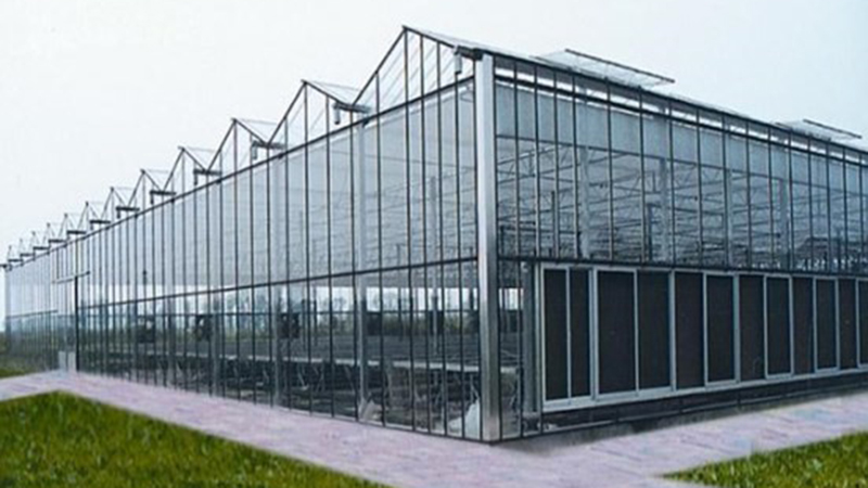 Fish and Vegetable Symbiosis System (Demonstration Project)—Facility Agriculture